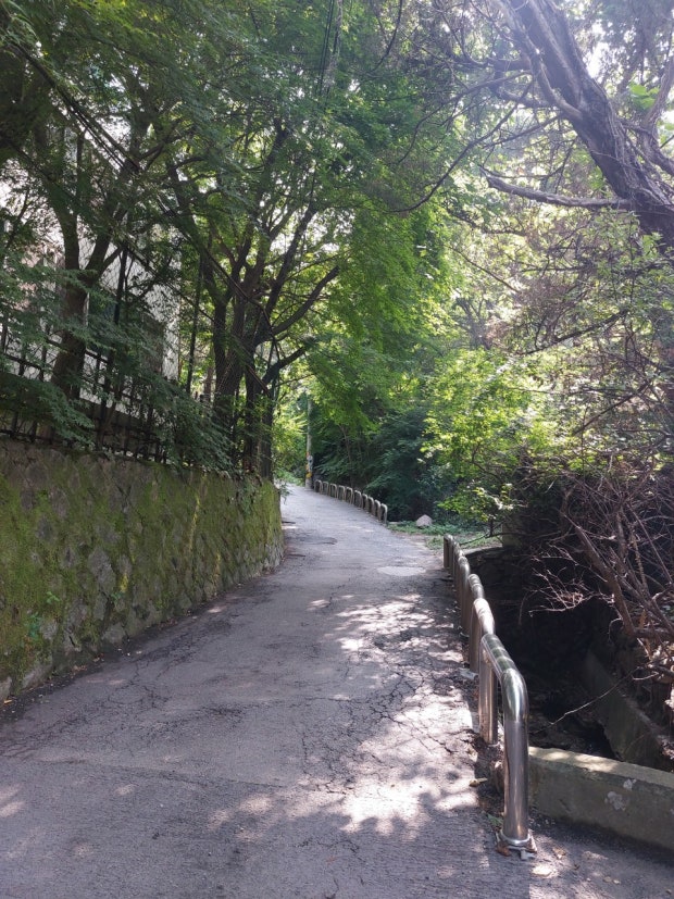 북한산 둘레길 6구간, 불광에서 정릉으로 이어지는 숲속 산책로 전경