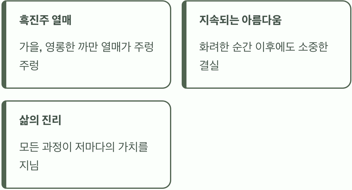 꽃이 지고 맺히는 검은 보석