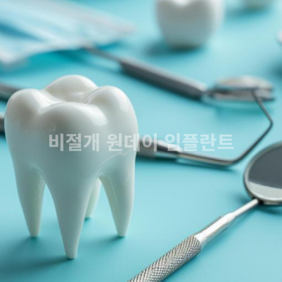 임플란트 모형
