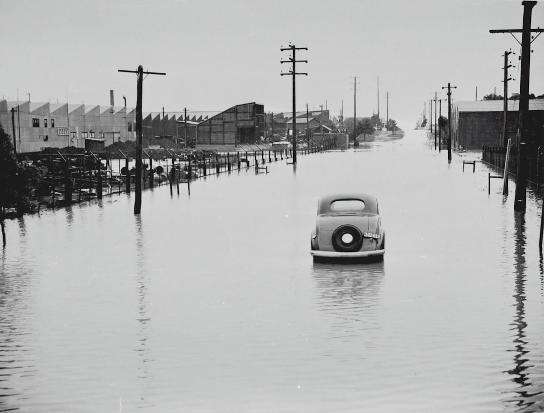 Flood
