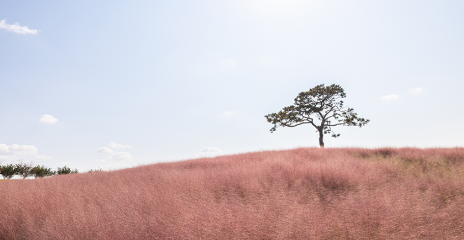 안성의 자연경관