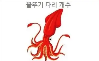 꼴뚜기 다리 개수