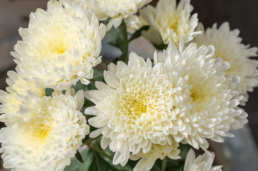 연명치료, 우리는 무엇을 선택해야 할까?