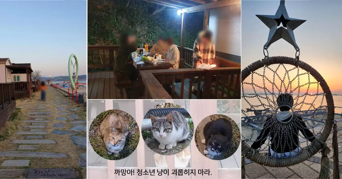 하늘별바다펜션-별그네와 펜션냥이들