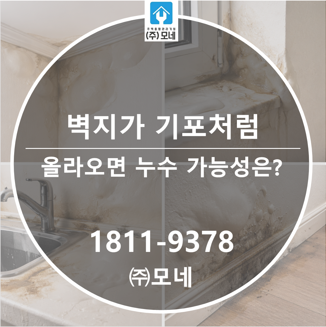 벽지가 기포처럼 올라오면 누수 가능성이 3단계로 달라질까?