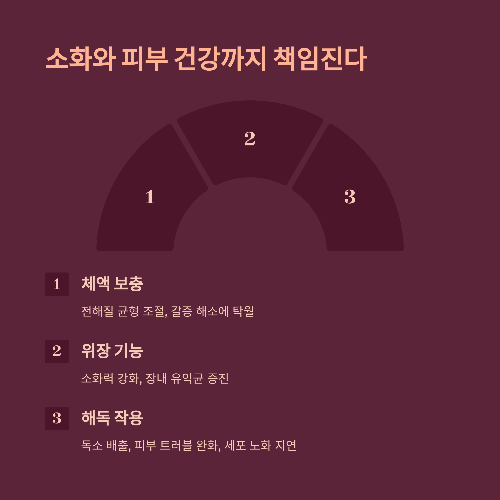 체내 해독 작용: 독소 배출로 피부까지 개선