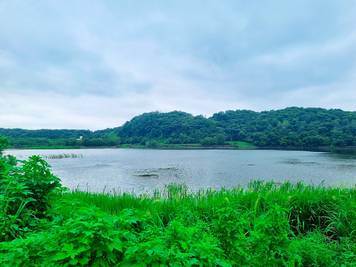 경기도 파주 대형 베이커리 카페, 공릉 저수지 뷰 모쿠슈라 (2호점)