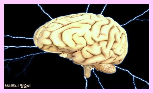 노이로제 뜻 사진