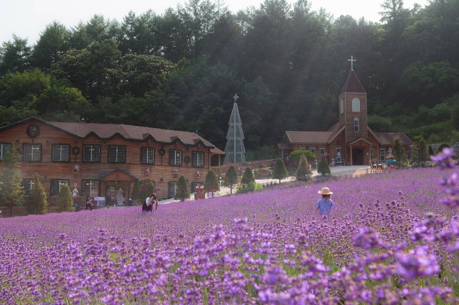 허브아일랜드 라데봄축제? 당신만 모르는 비밀 공간