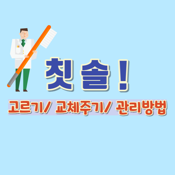 칫솔 관리방법-썸네일