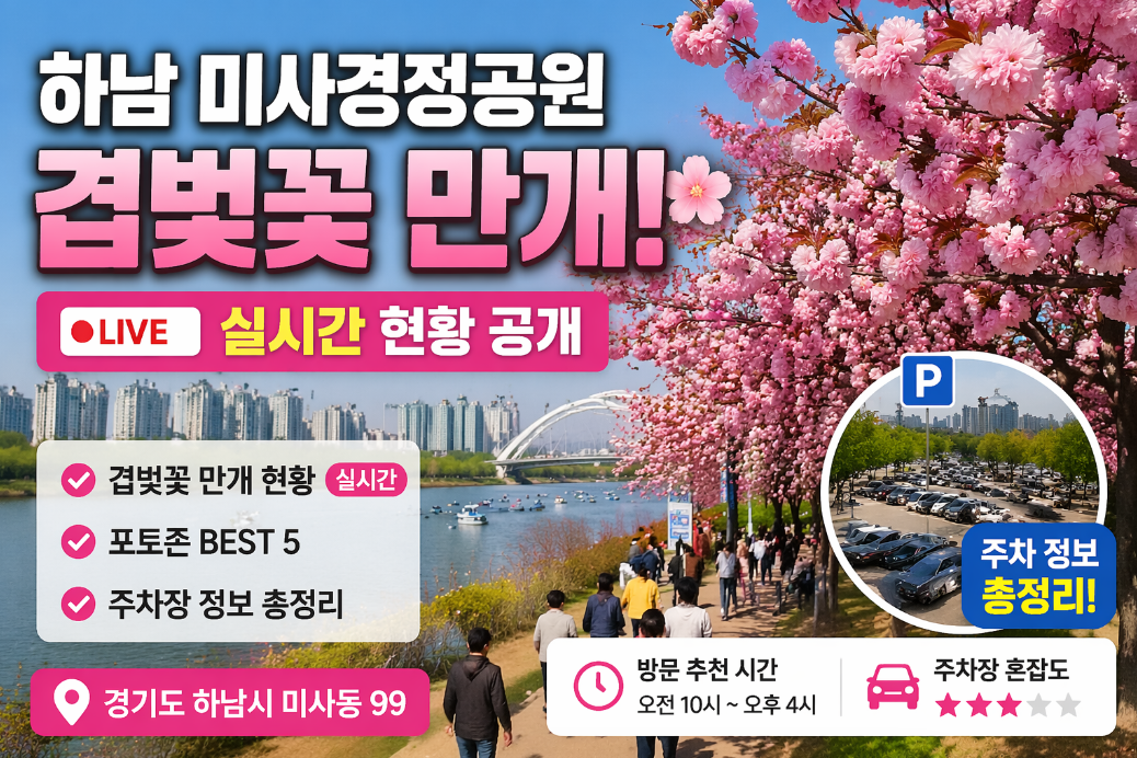 하남 미사 겹벚꽃 개화 현황 및 지금 바로 가야 하는 이유