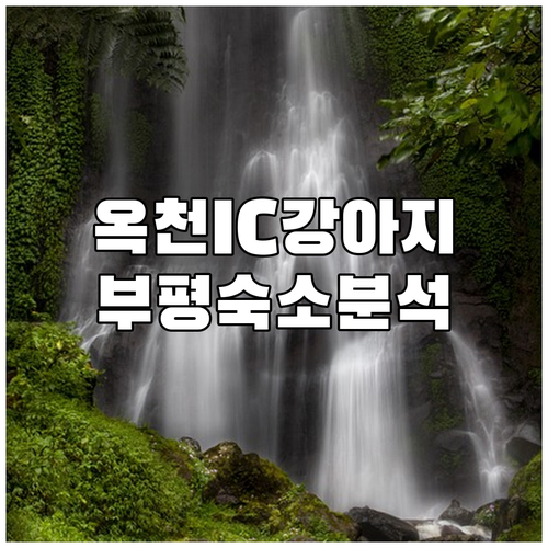 옥천IC 인근 강아지 동반 식당 위치..