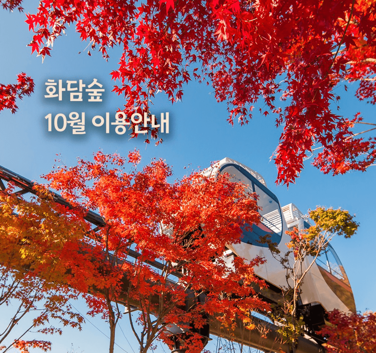 화담숲 단풍시기