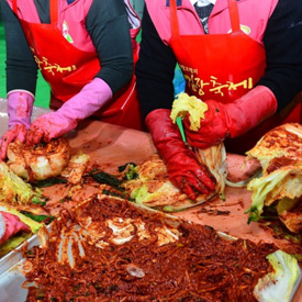 배추에 김장 양념을 바르는 사람들