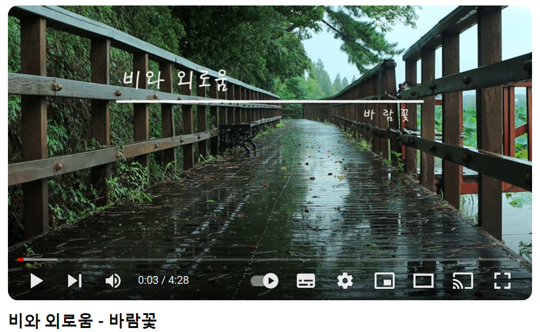 바람꽃-비와-외로움