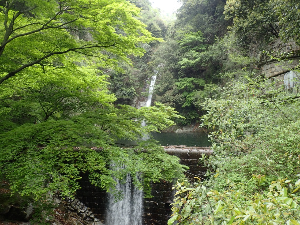 고베 여행 추천 누노비키 폭포