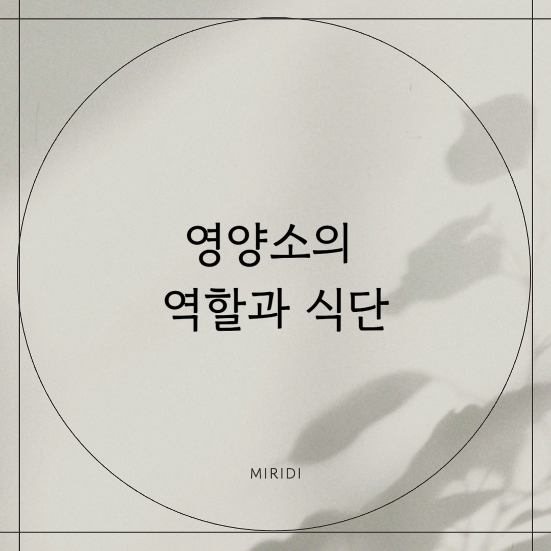 영양소의 역할과 식단