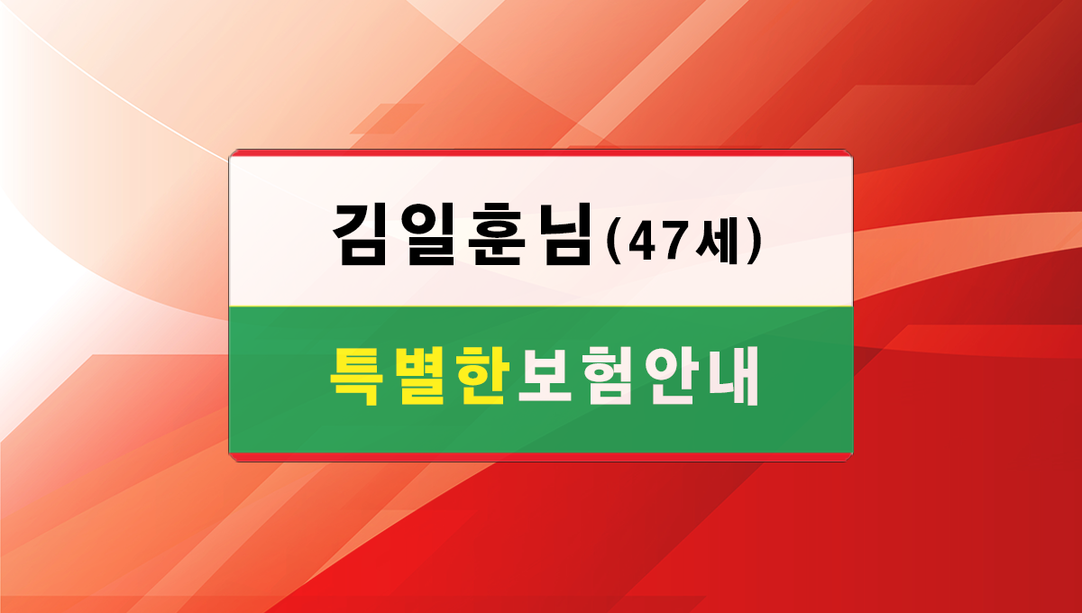 보험안내