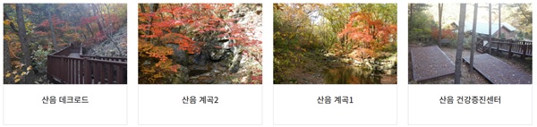 산음자연휴양림,산음자연휴양림예약,양평휴양림,경기도휴양림,산림휴양포털,산음휴양림요금,치유의숲,휴양림캠핑,경기도가볼만한곳,산음자연휴양림이용팁