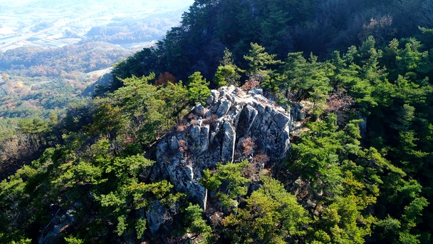 장령산