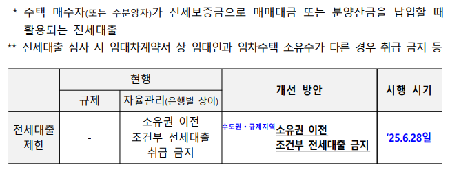 전세대출 제한