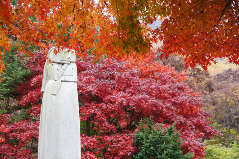 2025 계룡산 단풍 절정시기 및 트레킹코스, 주차, 맛집, 주변명소 사진