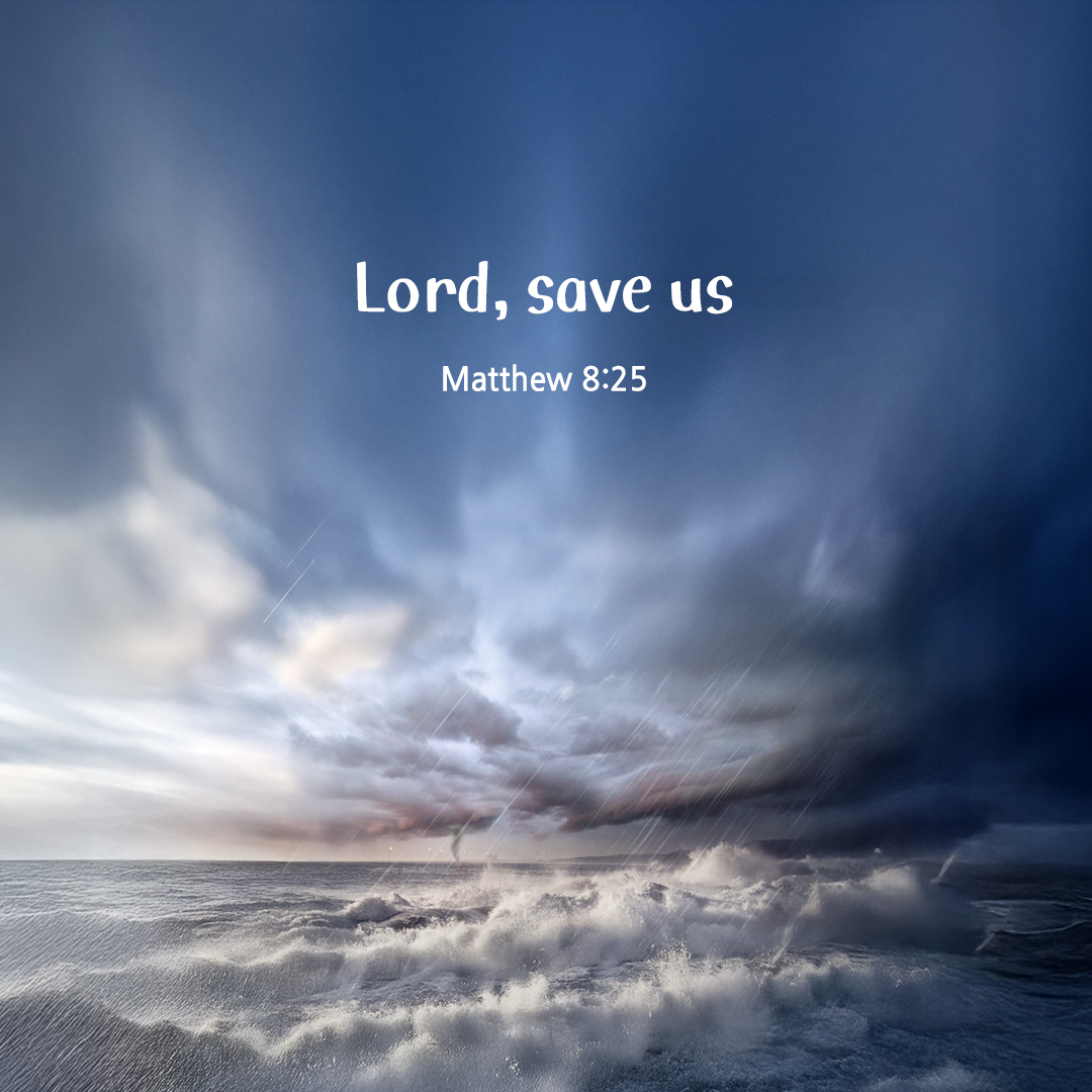 Lord, save us. (Matthew 8:25) by pieonane Daily Bible quote image