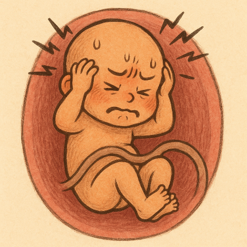 임산부 스트레스 태아에 끼치는 영향