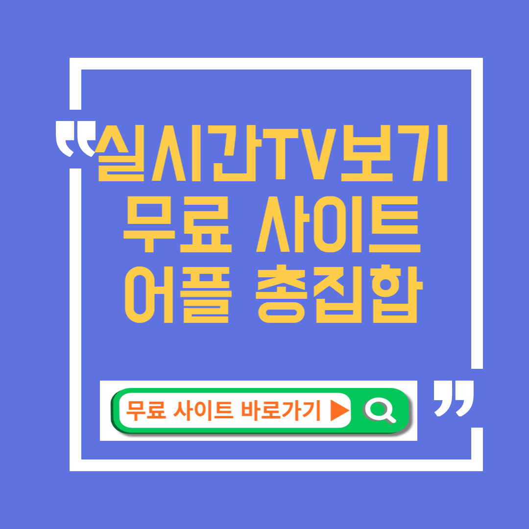 실시간tv보기