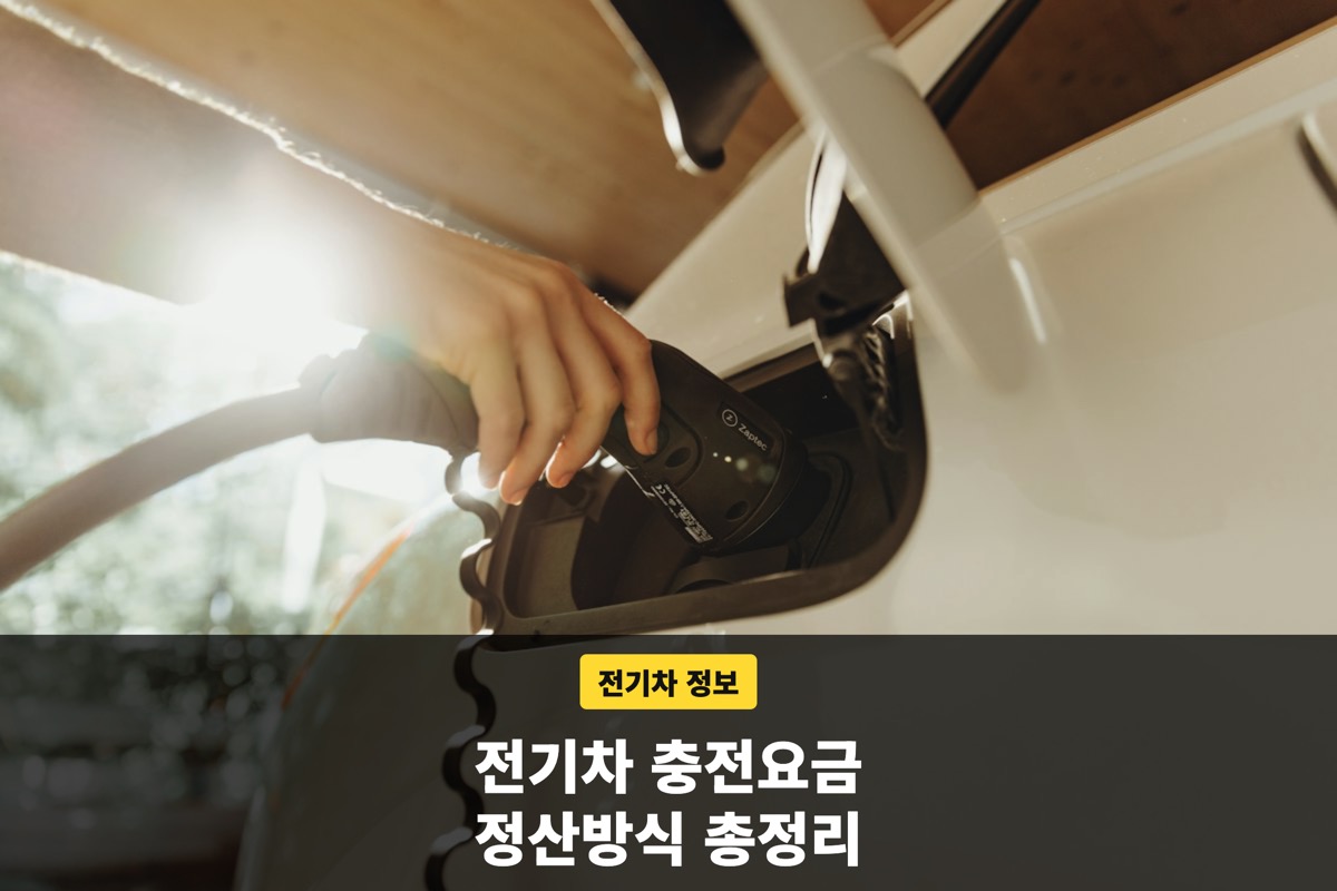 충전구에 전기차 충전 커넥터를 꽂는 손 모습