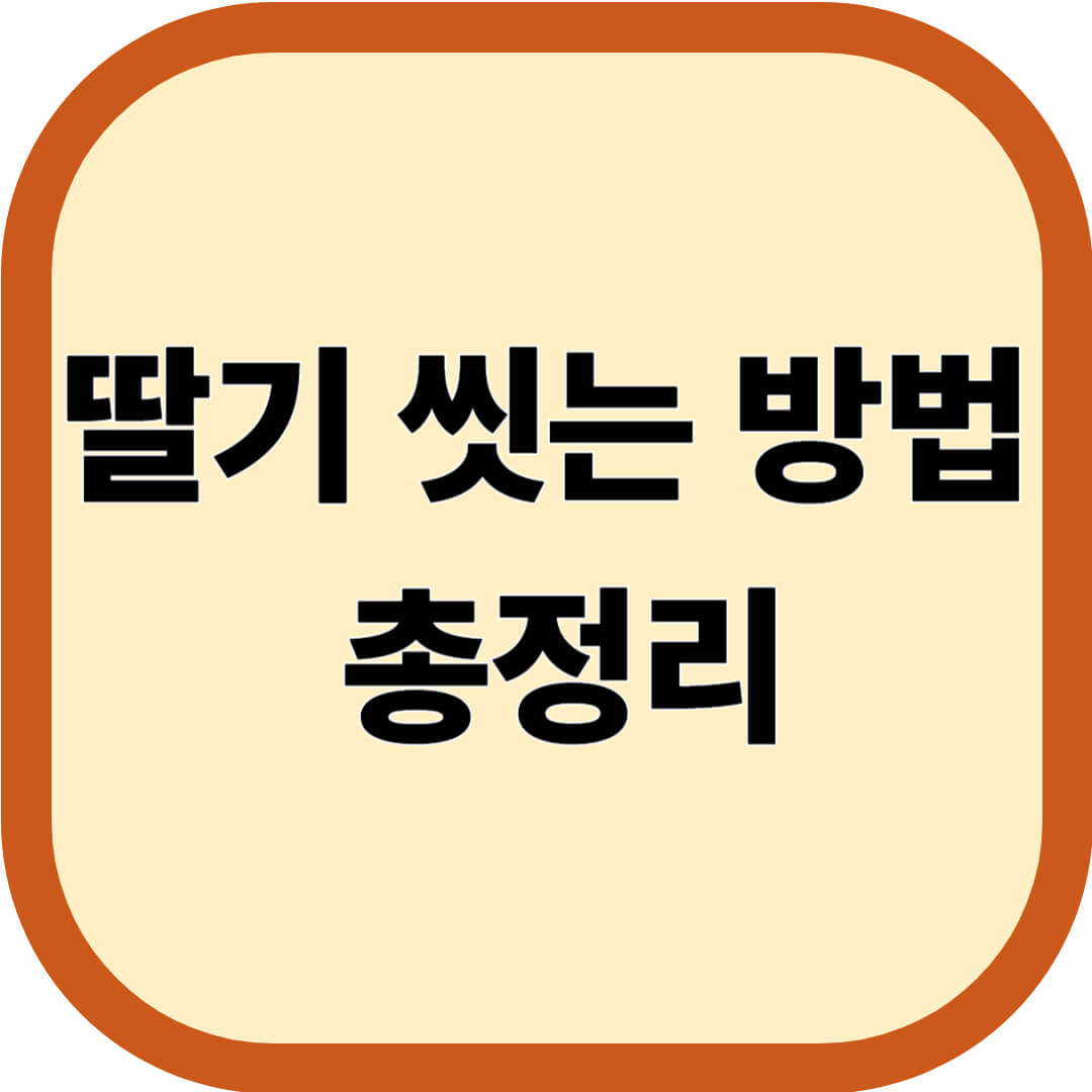 딸기 씻는 방법 총정리