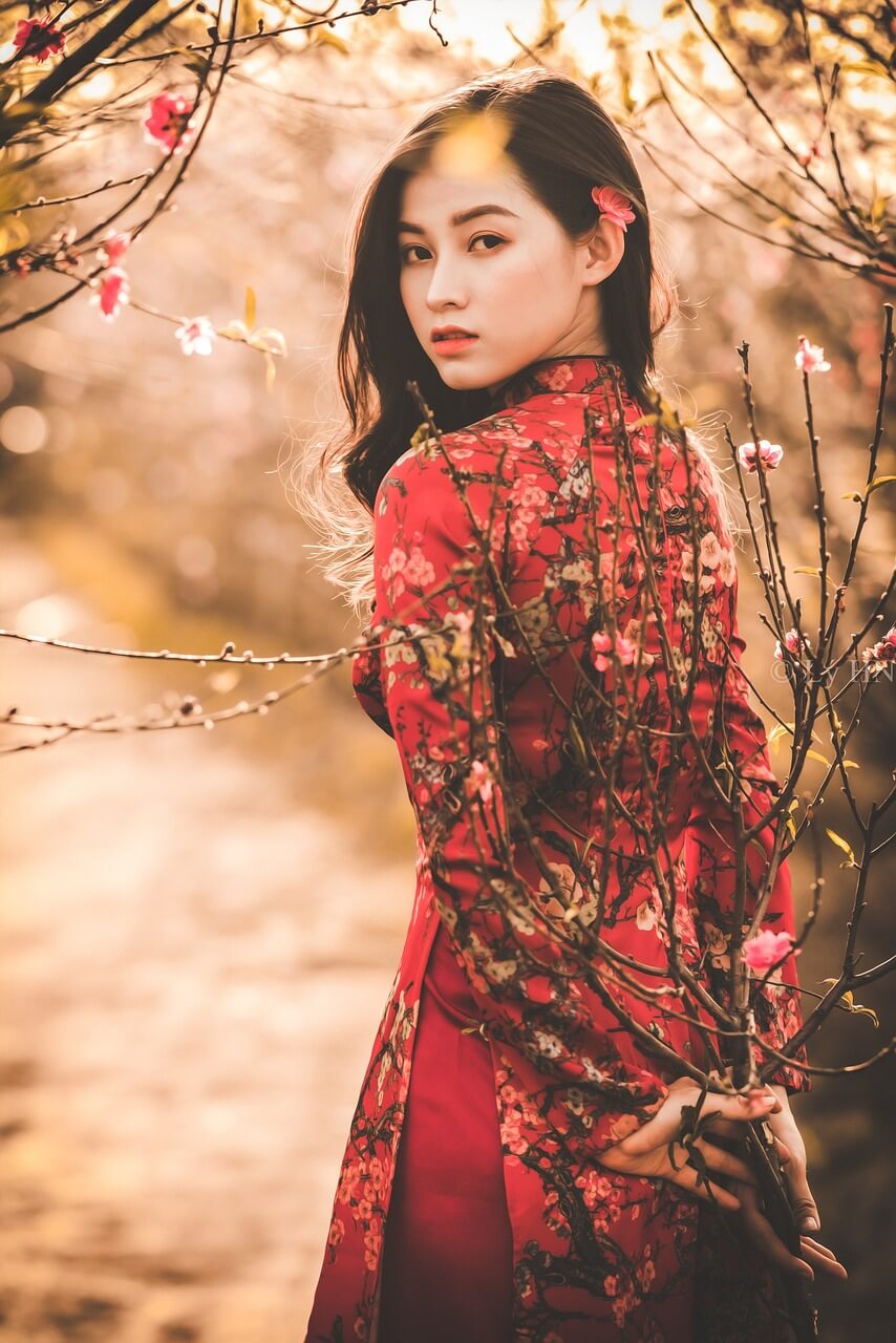 봉화 송이 한약우 축제 기본정보