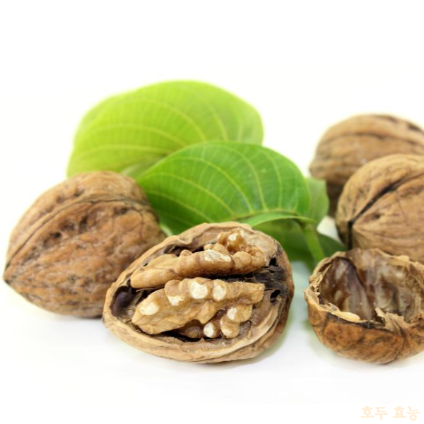 호두 효능 : 호두 효능과 부작용 알고 드세요!