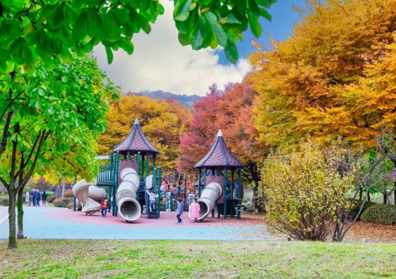 인천/명품/단풍/명소