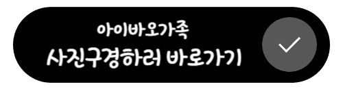 판다 아이바오 쌍둥이