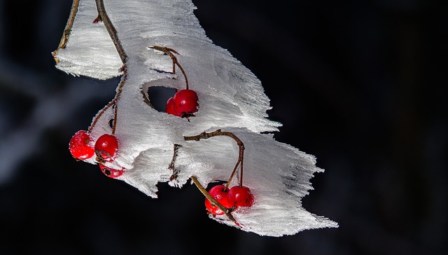 김수미 나이 프로필 정리 ✅