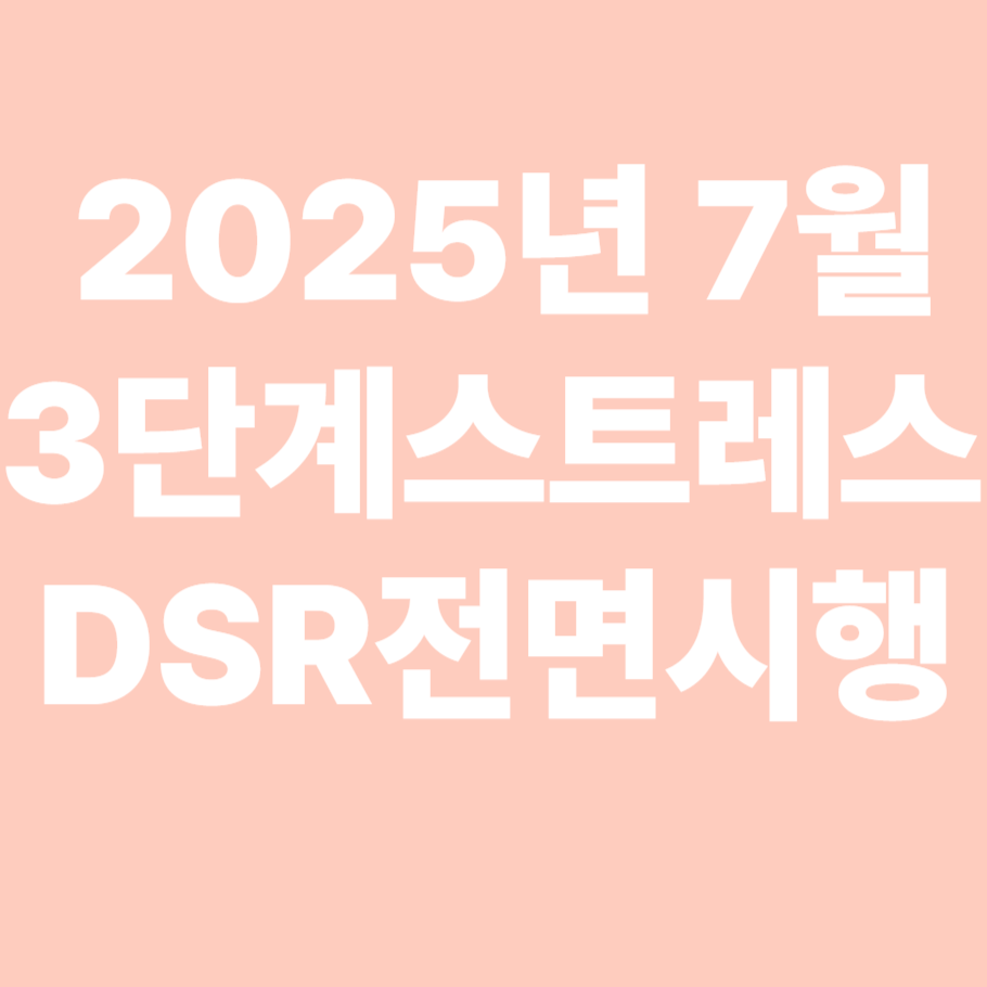 3단계 스트레스 DSR 제도