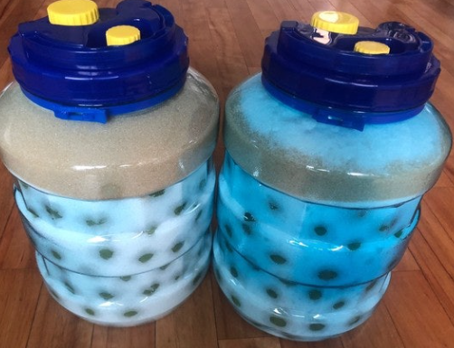 매실청