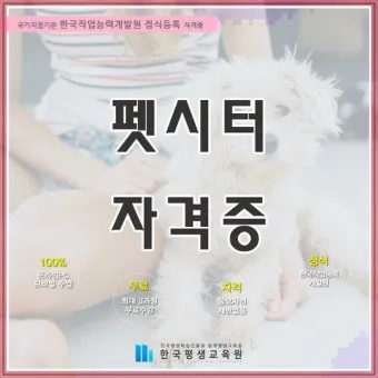 펫시터자격 교육과정 활동영역 창업준비 시니어 돌봄 일거리 찾기_12