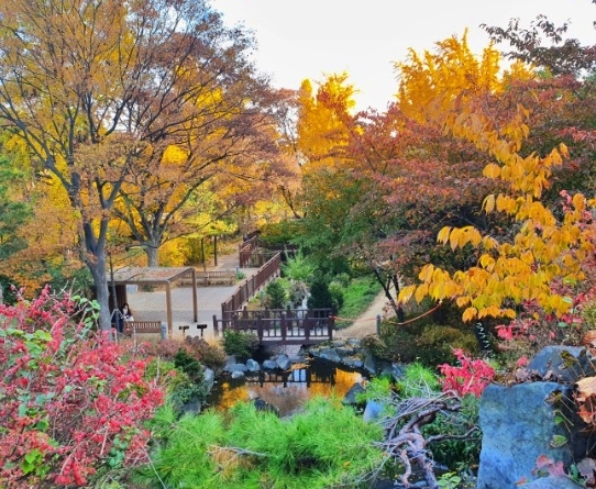 서울-단풍-명소