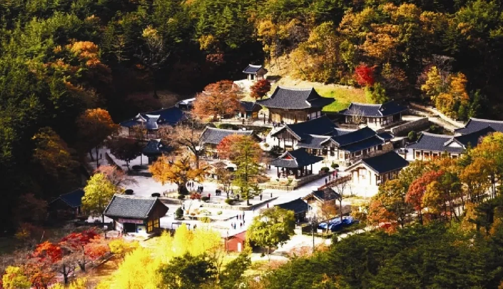 전북 부안 효도관광