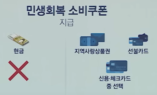 민생회복 소비쿠폰 지급 방식