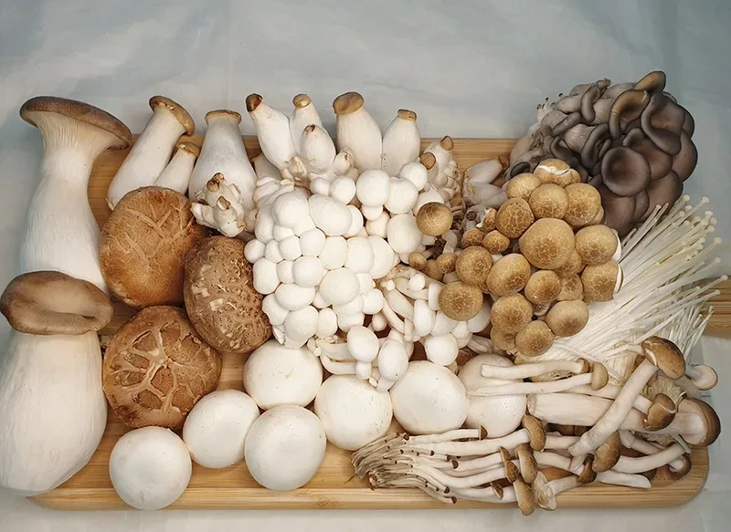 버섯 관련음식 사진 이미지