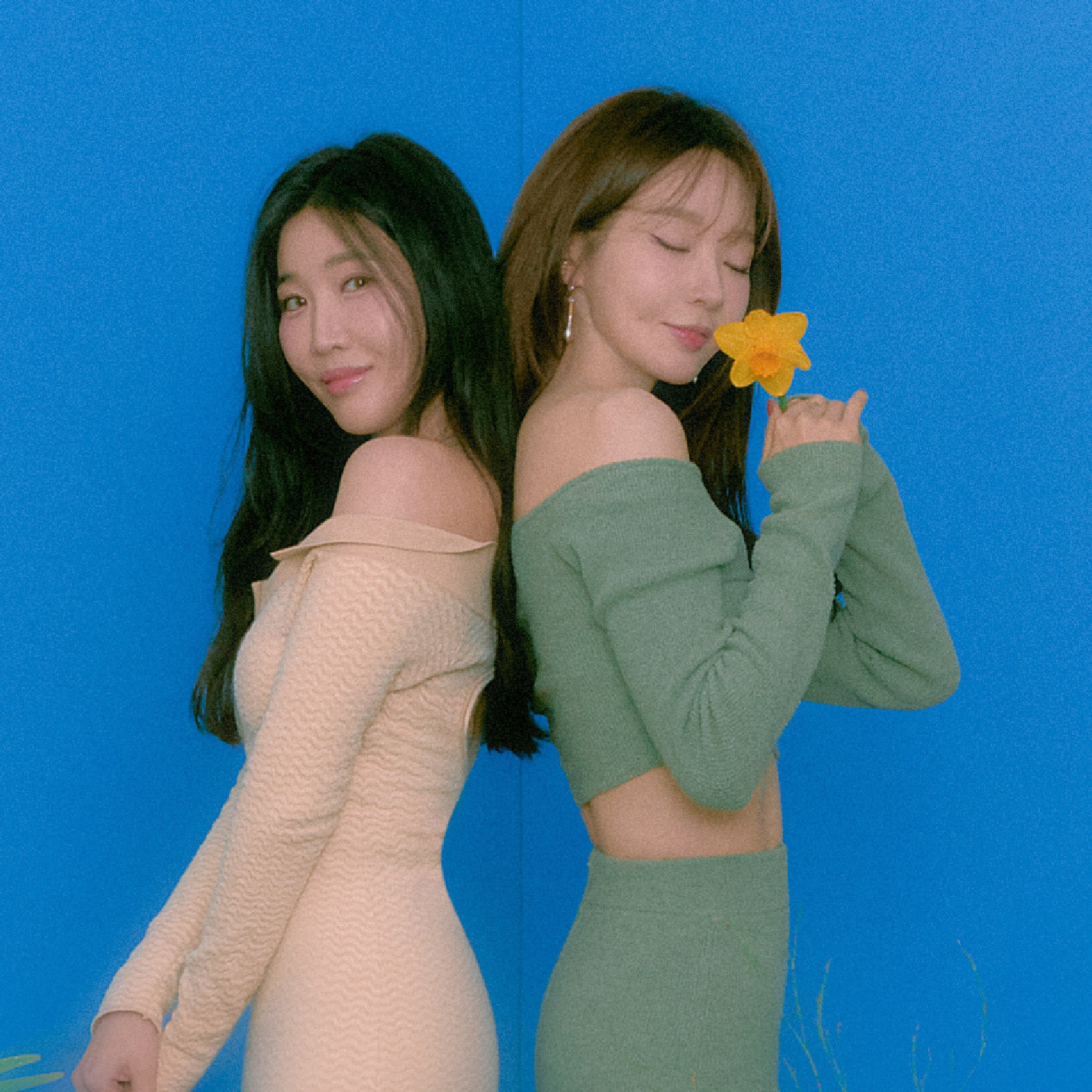 티켓 가격 및 좌석 배치