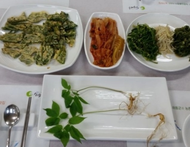 사노라면-청학동-산삼마루-산나물
