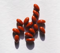 당뇨병에 좋은 음식 영양제 식단