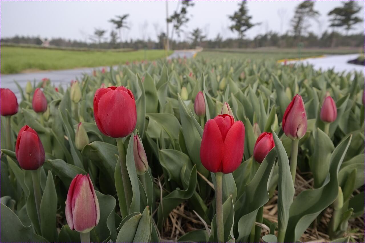 적금금리 높은 곳