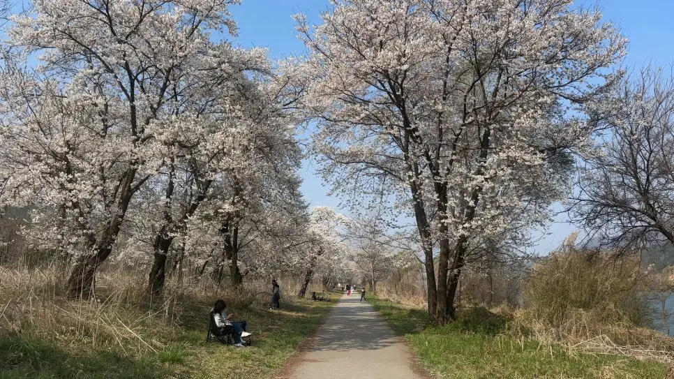 대성리 국민관광지