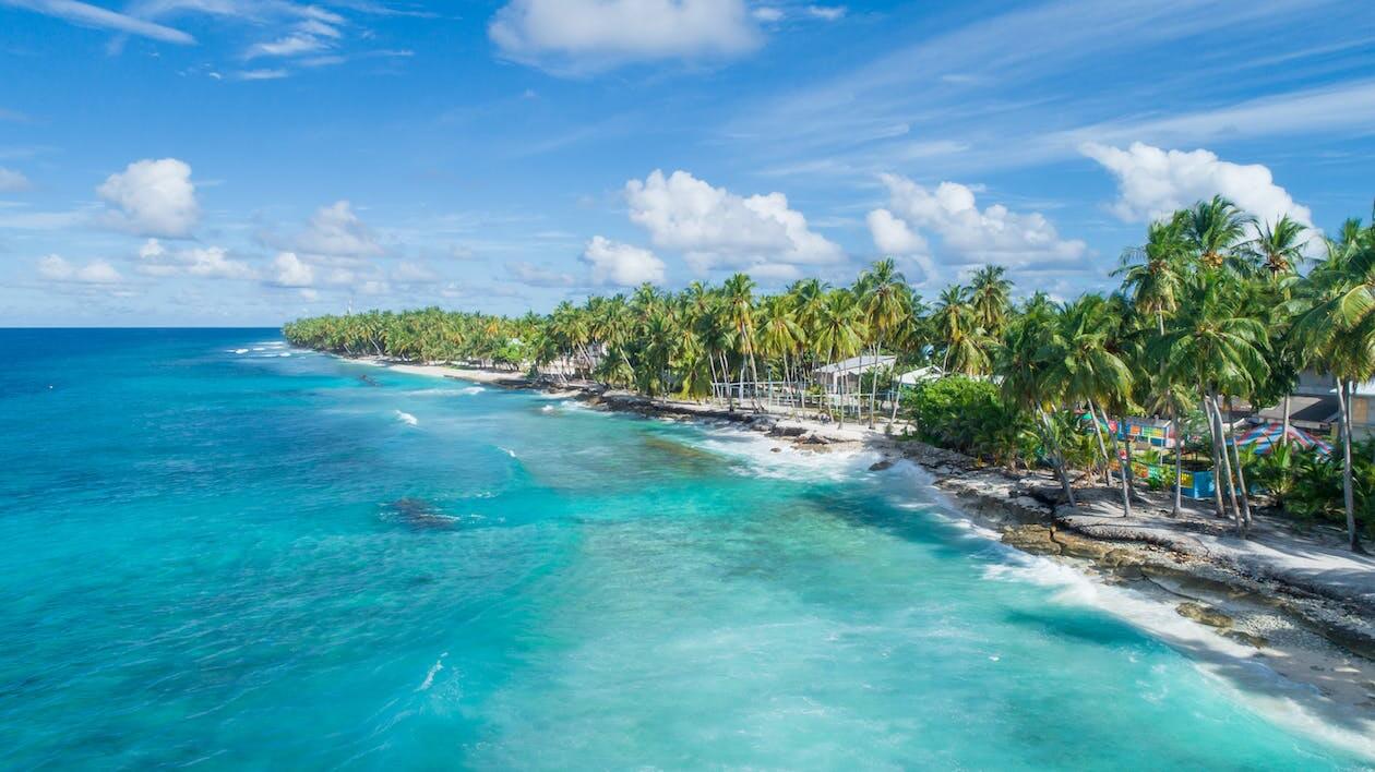 동상이몽 서해 금빛 열차 예약 방법 및 가격
