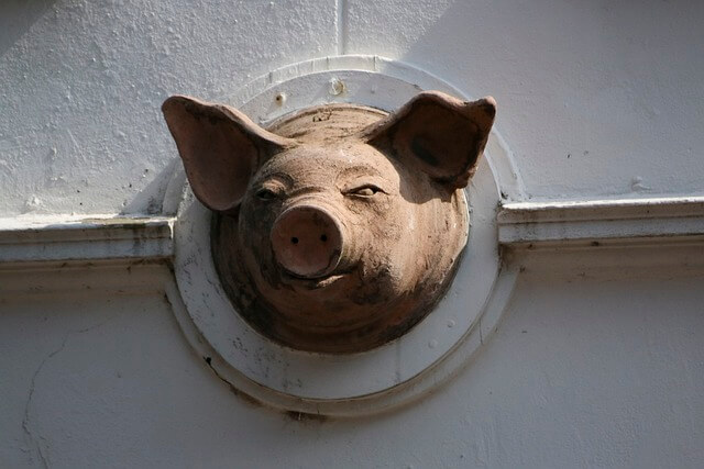 돼지띠생의 성격-돼지띠를 알아보자-두부처럼 담백한